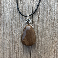 Petrified Wood Necklace for Transformation. Swirl Signifies Consciousness.