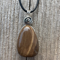 Petrified Wood Necklace for Transformation. Swirl Signifies Consciousness.