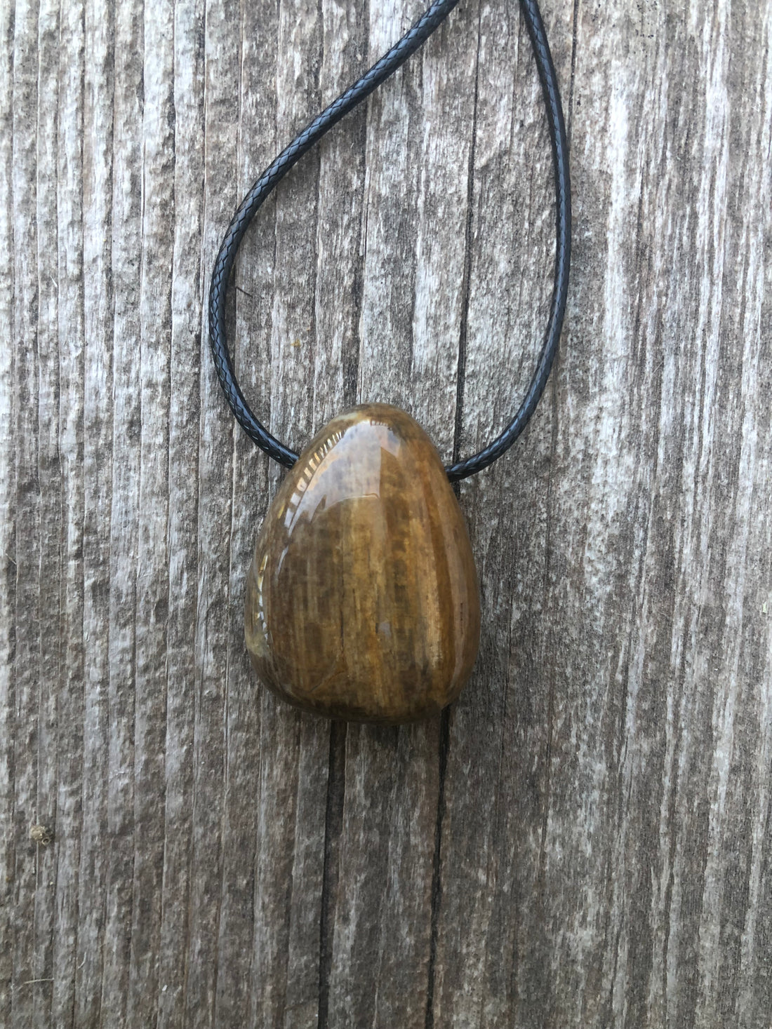 Petrified Wood Necklace for Transformation and Releasing Negativity.