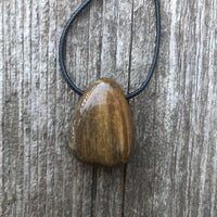 Petrified Wood Necklace for Transformation and Releasing Negativity.