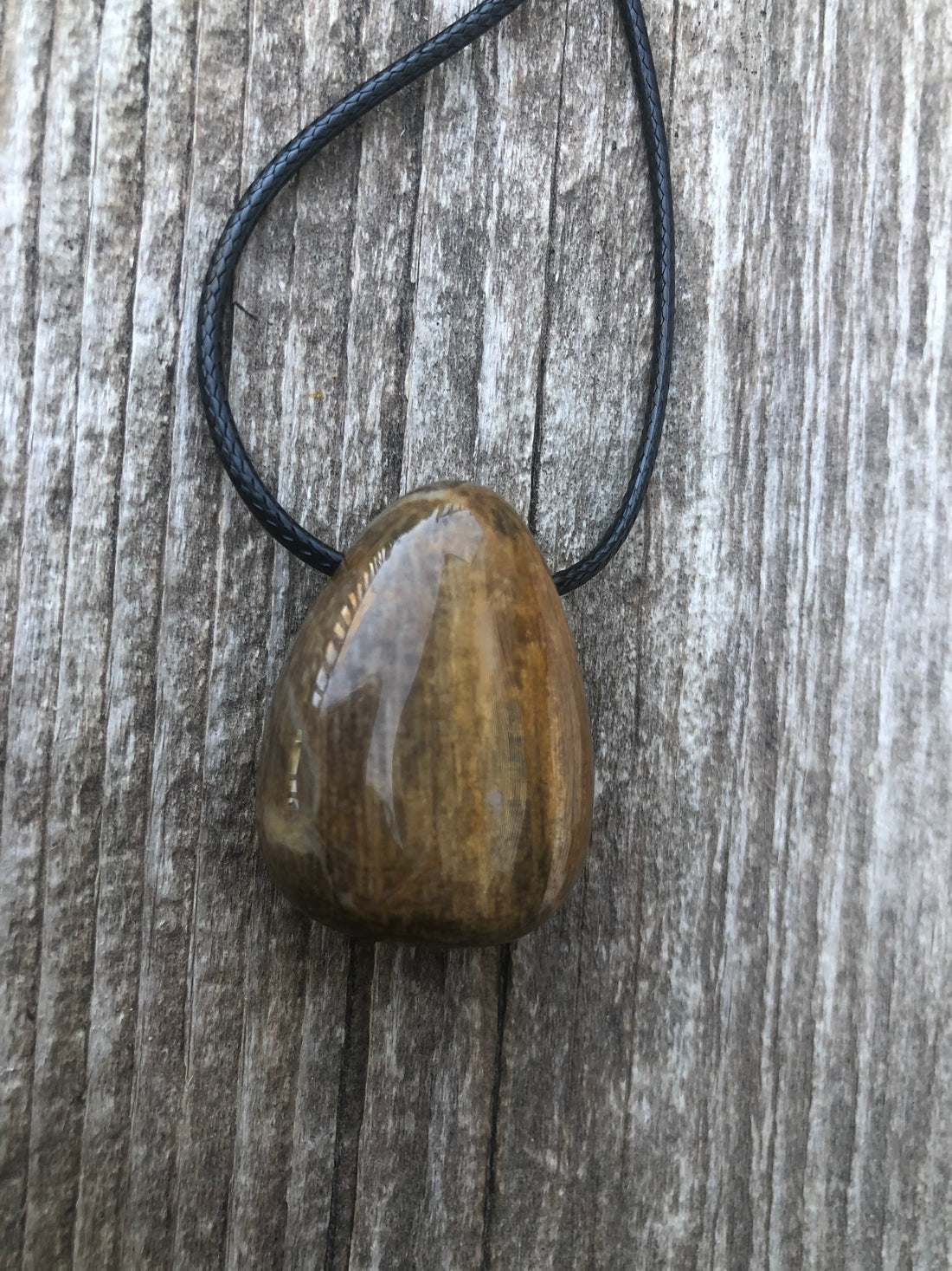 Petrified Wood Necklace for Transformation and Releasing Negativity.