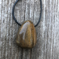 Petrified Wood Necklace for Transformation and Releasing Negativity.