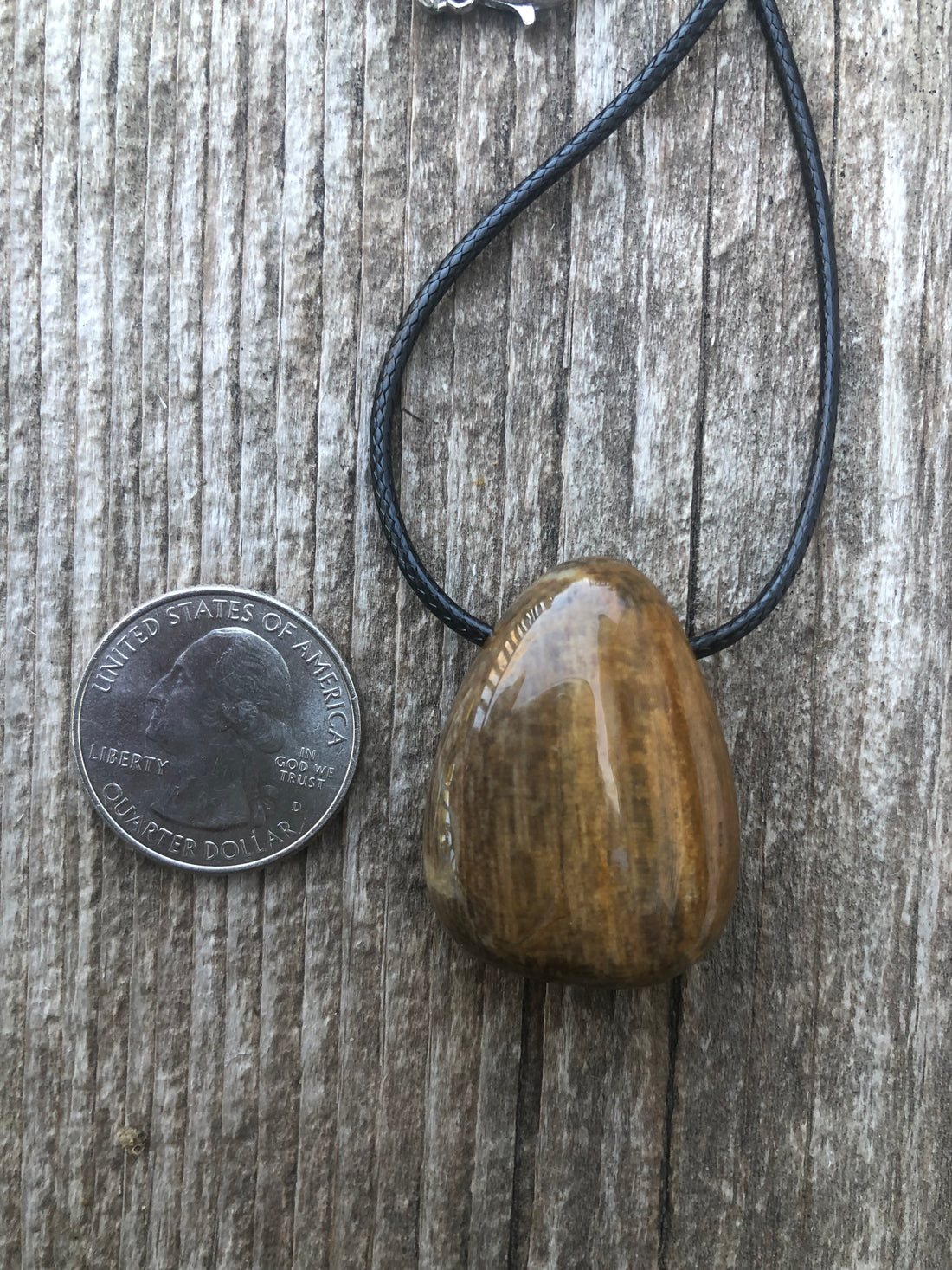 Petrified Wood Necklace for Transformation and Releasing Negativity.