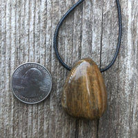 Petrified Wood Necklace for Transformation and Releasing Negativity.