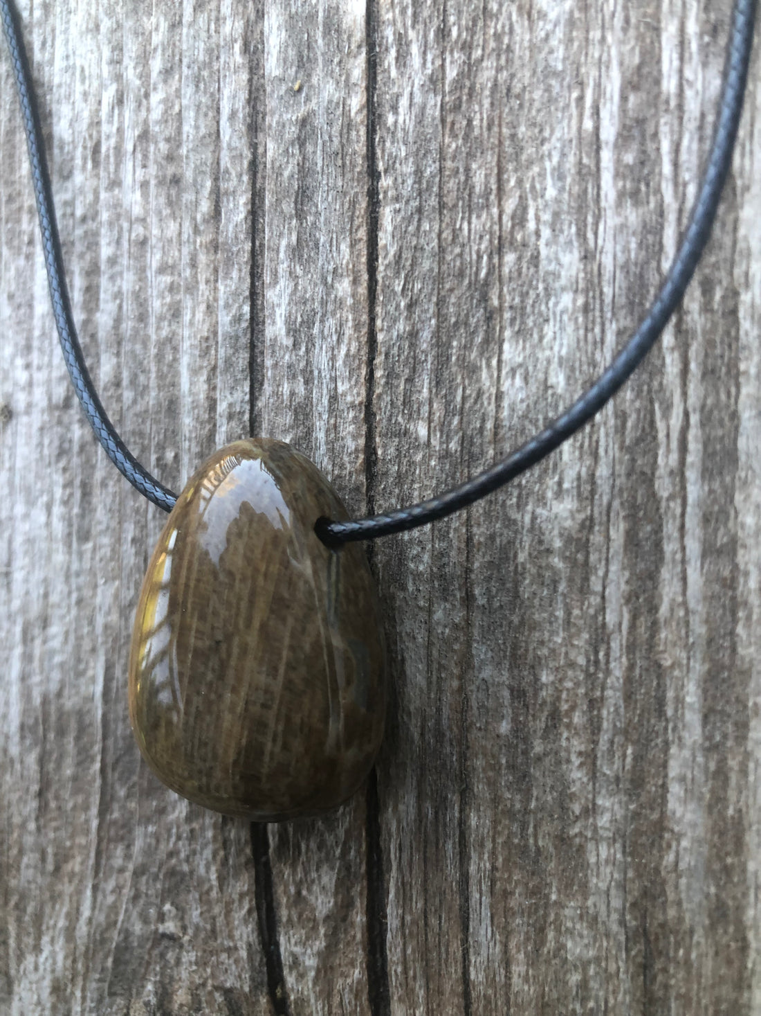 Petrified Wood Necklace for Transformation and Releasing Negativity.