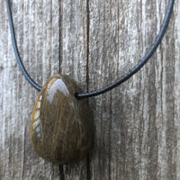 Petrified Wood Necklace for Transformation and Releasing Negativity.