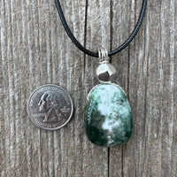 Tree Agate for Grounding and Balance.