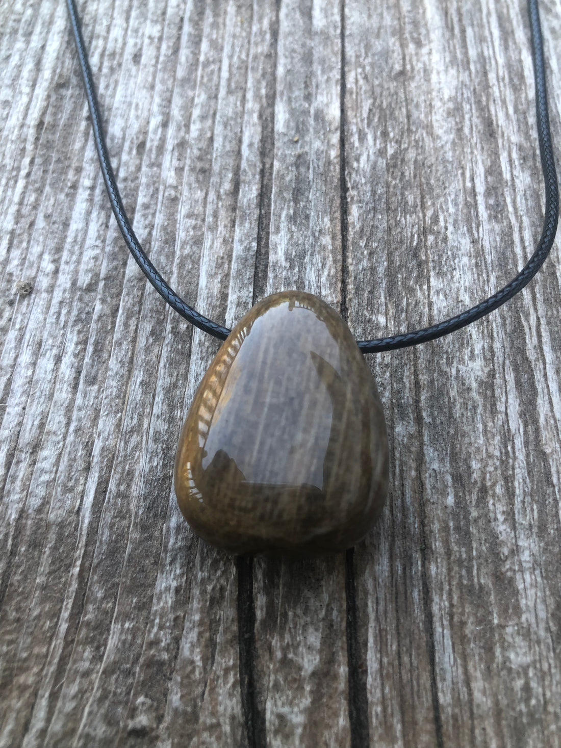 Petrified Wood Necklace for Transformation and Releasing Negativity.