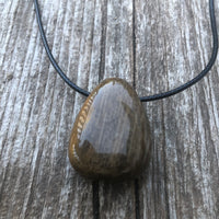 Petrified Wood Necklace for Transformation and Releasing Negativity.